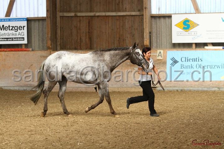 24-ApHC HIH_038.jpg